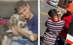 잃어버린 강아지 안고 폭풍 오열한 소년..`가족 찾은 기쁨`