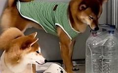 야... 이제 그만해...