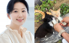 김희애, 길냥이 형제 간식 챙겨주는 평안한 일상 공개..."맛있게 먹어 좋네요"