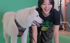 설인아, 반려견 