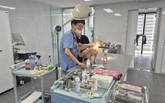 경남도, 내달 3일부터 하반기 동물병원 운영 실태 일제 점검 나서