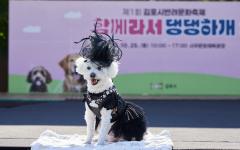김포시, 반려문화축제