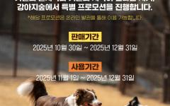 "강아지도, 보호자도 신난다!" 강아지숲, 연말까지 특별 프로모션 진행