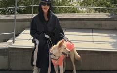 엄정화, 반려견 