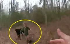 길 잃은 4살 아이 끝까지 지킨 반려견..‘멍멍’ 구조요청까지