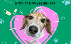 녹십자수의약품, 실험종료 비글 돕는 