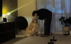 씨앤블루 이정신, 반려견