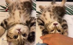 집사가 공부를 할 수 없는 이유...