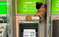 ATM 위에 버려진 