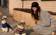 채정안, 반려견 