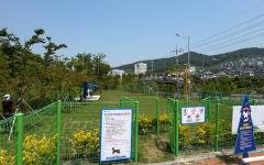 여수시, 여수박물관 접근로 공사로 이순신공원 반려견놀이터 임시휴장...