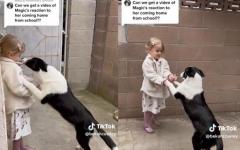 학교 갔다 돌아온 꼬마 반겨주는 유기견 출신 강아지.."보고 싶었댕!" 