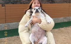 김가은, 반려견 