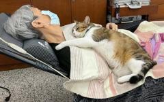 고양이가 갑자기 할머니 곁에 붙어있던 이유...