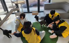 “유기동물과 따뜻한 겨울나기” 경기도, 겨울방학 청소년 자원봉사 운영