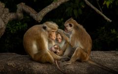 소니 월드 포토그래피 어워드 2026년 학생 및 청소년 대회 최종 후보작