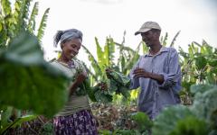 세계보건기구(WHO), 세계동물보건기구(WOAH) 등 4개 국제기구