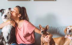 반려동물 사랑의 날 - 2월 20일