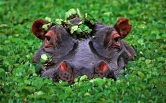 오늘(2월15일)은 