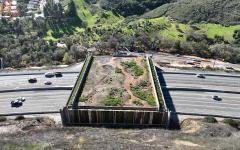 캘리포니아, 세계 최대 ‘야생동물 교차로’ 완공 눈앞… 최종 펀딩 확보