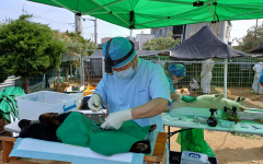 경기도, ‘찾아가는 동물보호시설 진료활동 지원’