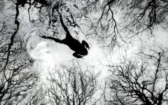 2026년 영국 야생동물 사진 어워드(BWPA) 우승작품