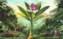 세계 야생동물의 날 국제 청소년 미술 대회 대상 한국의 15세 소녀 유 지아 