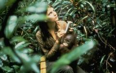 비루테 메리 갈디카스 박사 오랑우탄 연구 50년 여정