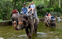 인도네시아, 아시아 최초 