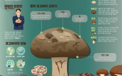 산림청, 3월 이달의 임산물로 ‘표고버섯’ 선정