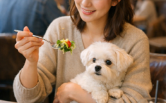 식약처, "반려동물 식당 이용 더 쉬워진다"... QR 인증 도입 및 거리 제한 완화
