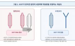 반려견도 사람처럼 
