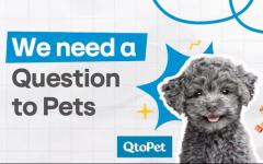 hy, 반려동물 플랫폼 ‘큐토펫’ 론칭…맞춤 관리 제공