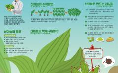 산림청, 4월 이달의 임산물로 ‘산마늘’ 선정