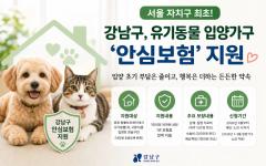서울 강남구, 유기동물 입양가구에 ‘안심보험’ 지원