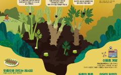 산림청, 5월 이달의 임산물로 ‘두릅’ 선정
