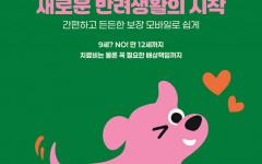 이마트, DB손보와 손잡고 펫보험 출시…고령 반려동물 가입 문턱 낮춰