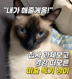 "내가 해줄게옹!"..집사 과제보고 영감 떠오른 미술 특기 냥이