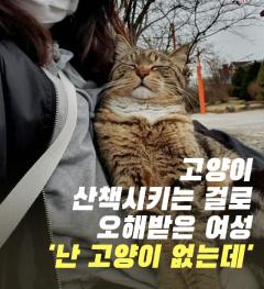 고양이 산책시키는 걸로 오해받은 여성..