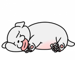우다다!
