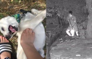 '해병대 비비탄 난사' 가해자에게 왜 그랬냐 물으니..그냥 반응이 궁금해서