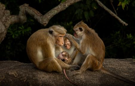 소니 월드 포토그래피 어워드 2026년 학생 및 청소년 대회 최종 후보작