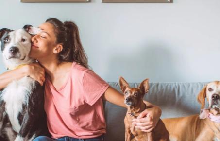 반려동물 사랑의 날 - 2월 20일