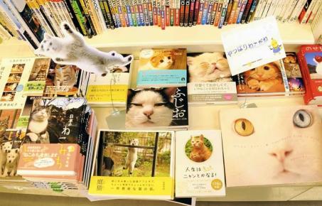 일본  '네코노믹스(Nekonomics)' 3조엔(28조원) 넘는다