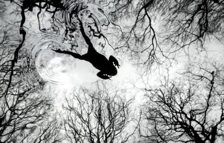 2026년 영국 야생동물 사진 어워드(BWPA) 우승작품