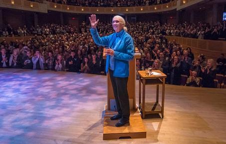 제인 구달연구소, 4월3일 '제인구달데이(Jane Goodall Day)' 선포 