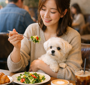 식약처, "반려동물 식당 이용 더 쉬워진다"... QR 인증 도입 및 거리 제한 완화
