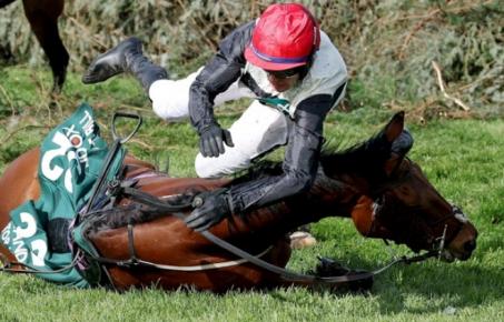 "경마는 피로 물든  스포츠"...그랜드 내셔널 (Grand National)이 이를 증명한다