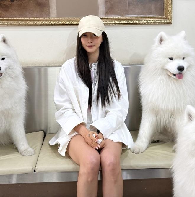 김사랑, 사모예드들과 함께한 행복한 순간 공개..."몽글몽글한 시간!♡"
