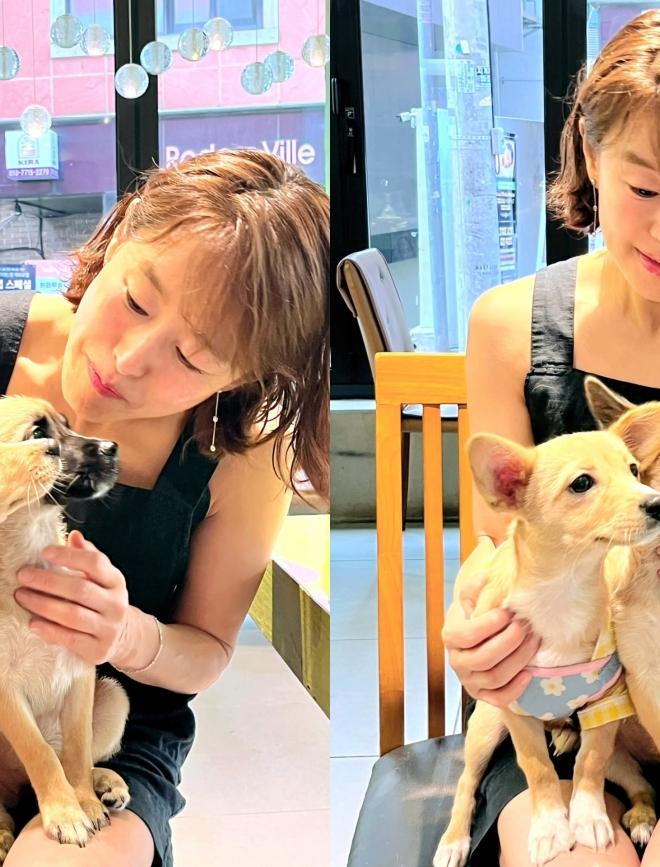 예지원, 정읍 산불서 구조한 반려견 '미자' 자매 찾아..."기적 같은 가족 상봉"